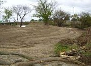 Currituck Land Clearing