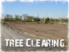 Tree Clearing in Suffolk, Portsmouth, Virginia Beach, Chesapeake, Hampton Roads
