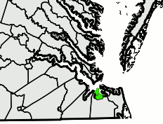 Portsmouth, Virginia Excavation & Lot Clearing