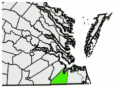 Suffolk, Virginia Excavation & Land Clearing